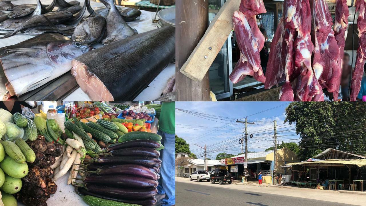 Hanella'S Place Bacong  Ngoại thất bức ảnh